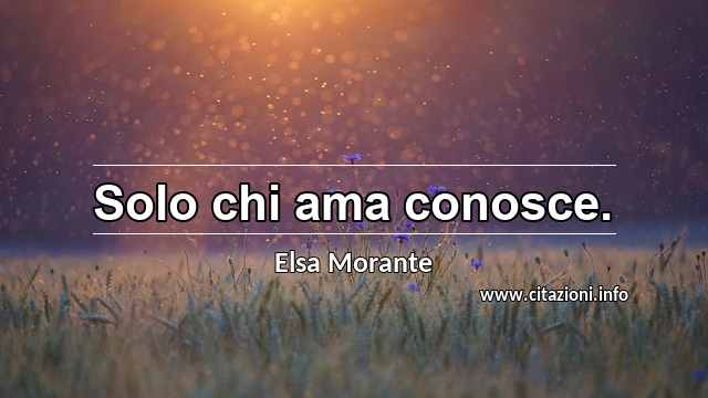 “Solo chi ama conosce.”
