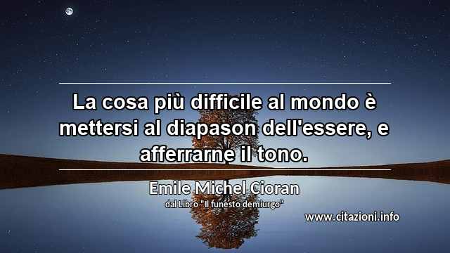 “La cosa più difficile al mondo è mettersi al diapason dell'essere, e afferrarne il tono.”