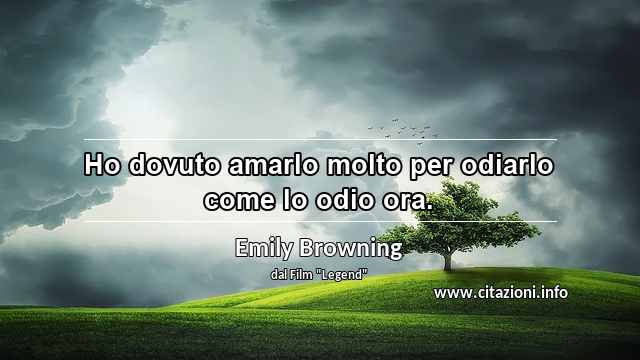 “Ho dovuto amarlo molto per odiarlo come lo odio ora.”