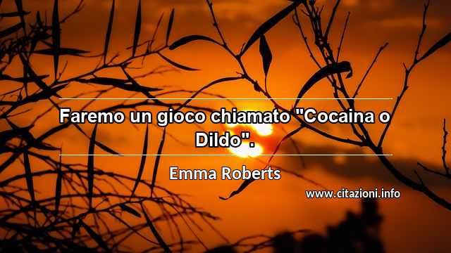 Faremo un gioco chiamato "Cocaina o Dildo".
