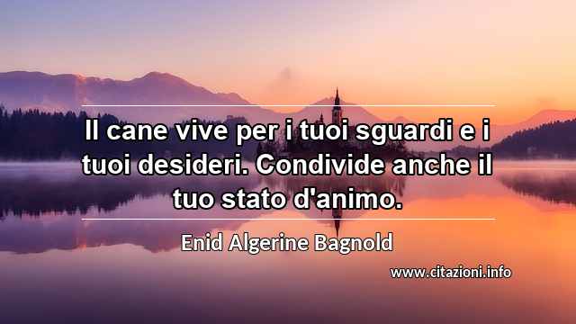 “Il cane vive per i tuoi sguardi e i tuoi desideri. Condivide anche il tuo stato d'animo.”