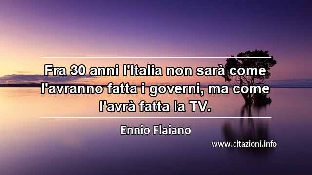 “Fra 30 anni l'Italia non sarà come l'avranno fatta i governi, ma come l'avrà fatta la TV.”