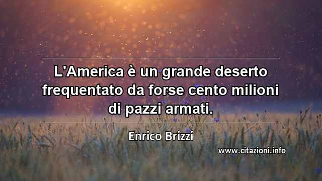 “L'America è un grande deserto frequentato da forse cento milioni di pazzi armati.”