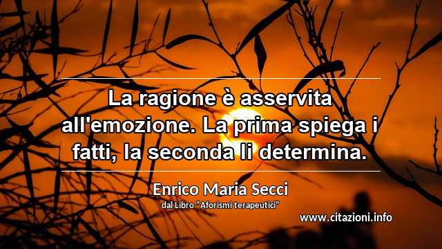 “La ragione è asservita all'emozione. La prima spiega i fatti, la seconda li determina.”
