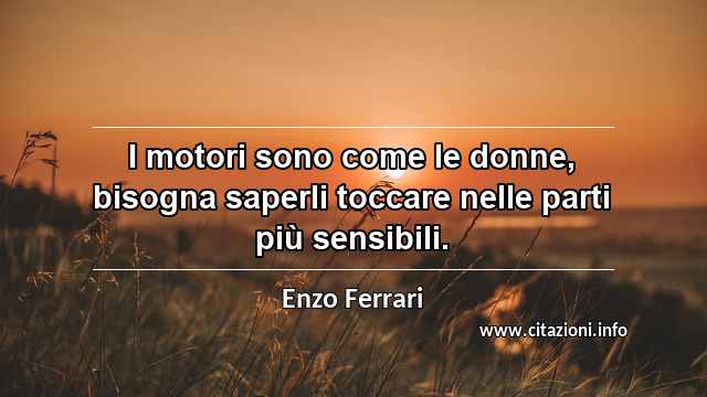 “I motori sono come le donne, bisogna saperli toccare nelle parti più sensibili.”