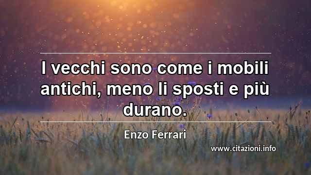 “I vecchi sono come i mobili antichi, meno li sposti e più durano.”