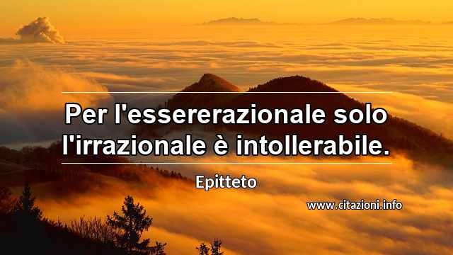 “Per l'essererazionale solo l'irrazionale è intollerabile.”