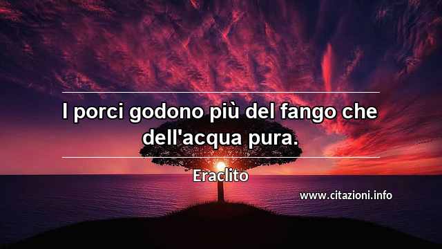 “I porci godono più del fango che dell'acqua pura.”
