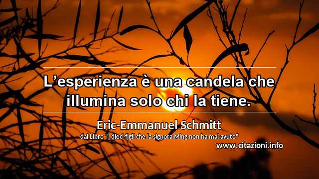 “L’esperienza è una candela che illumina solo chi la tiene.”