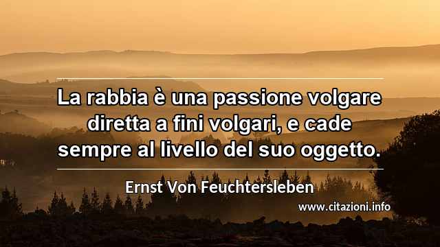 “La rabbia è una passione volgare diretta a fini volgari, e cade sempre al livello del suo oggetto.”