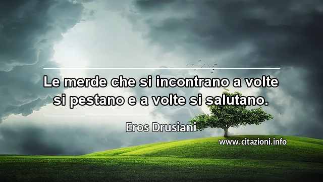 “Le merde che si incontrano a volte si pestano e a volte si salutano.”