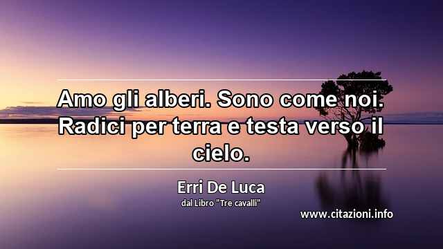 “Amo gli alberi. Sono come noi. Radici per terra e testa verso il cielo.”