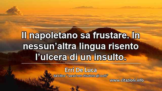 “Il napoletano sa frustare. In nessun’altra lingua risento l’ulcera di un insulto.”