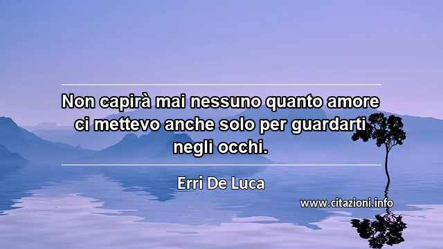 “Non capirà mai nessuno quanto amore ci mettevo anche solo per guardarti negli occhi.”