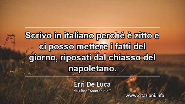 “Scrivo in italiano perché è zitto e ci posso mettere i fatti del giorno, riposati dal chiasso del napoletano.”