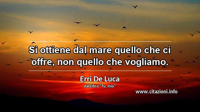 “Si ottiene dal mare quello che ci offre, non quello che vogliamo.”