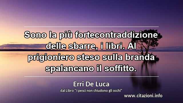 “Sono la più fortecontraddizione delle sbarre, i libri. Al prigioniero steso sulla branda spalancano il soffitto.”