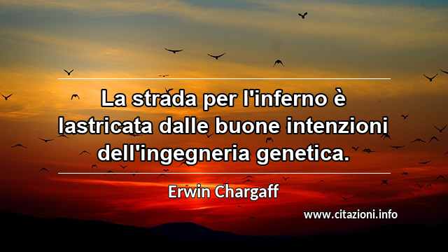 “La strada per l'inferno è lastricata dalle buone intenzioni dell'ingegneria genetica.”