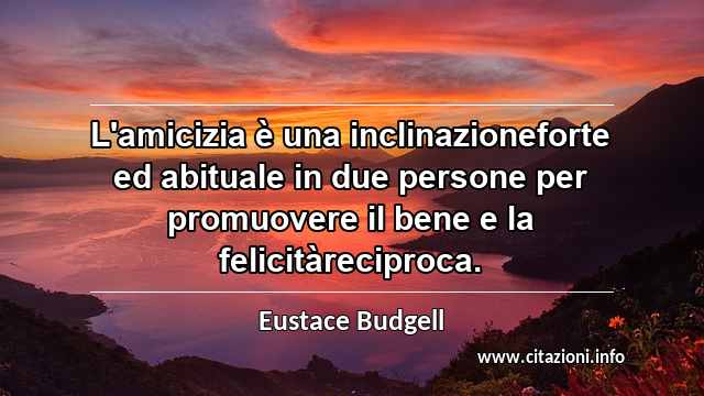 “L'amicizia è una inclinazioneforte ed abituale in due persone per promuovere il bene e la felicitàreciproca.”