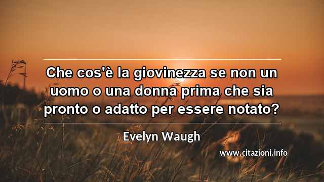 “Che cos'è la giovinezza se non un uomo o una donna prima che sia pronto o adatto per essere notato?”