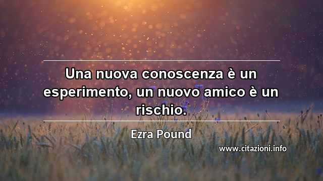 “Una nuova conoscenza è un esperimento, un nuovo amico è un rischio.”