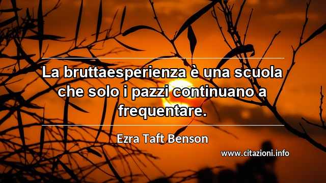 “La bruttaesperienza è una scuola che solo i pazzi continuano a frequentare.”