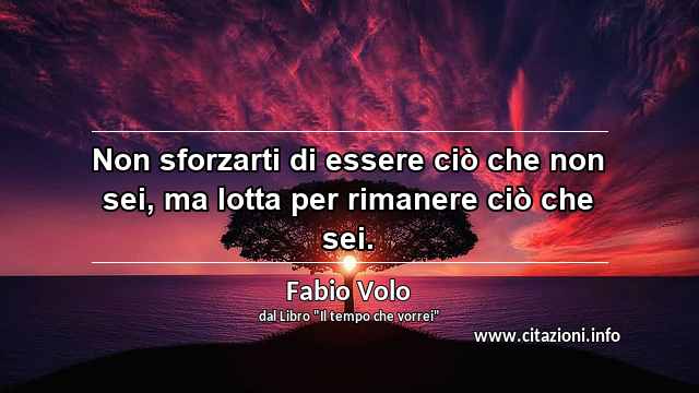 “Non sforzarti di essere ciò che non sei, ma lotta per rimanere ciò che sei.”