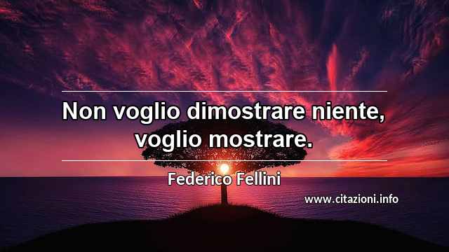 “Non voglio dimostrare niente, voglio mostrare.”