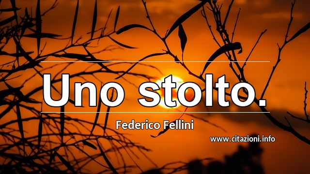 “Uno stolto.”