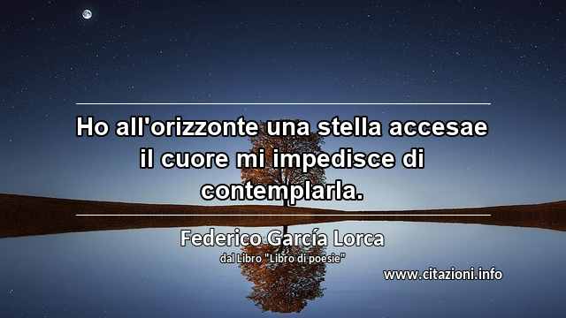 “Ho all'orizzonte una stella accesae il cuore mi impedisce di contemplarla.”