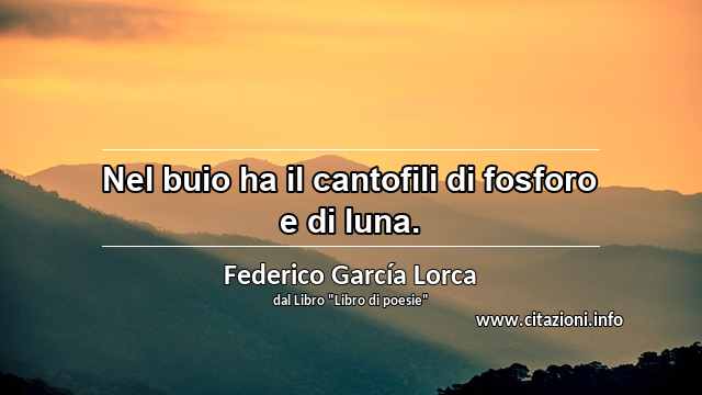 “Nel buio ha il cantofili di fosforo e di luna.”