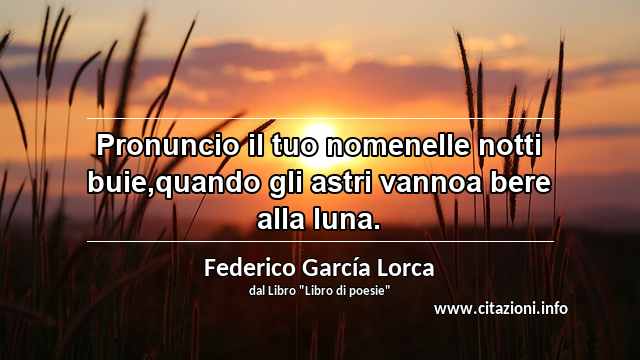 “Pronuncio il tuo nomenelle notti buie,quando gli astri vannoa bere alla luna.”