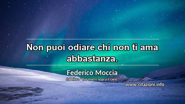 “Non puoi odiare chi non ti ama abbastanza.”