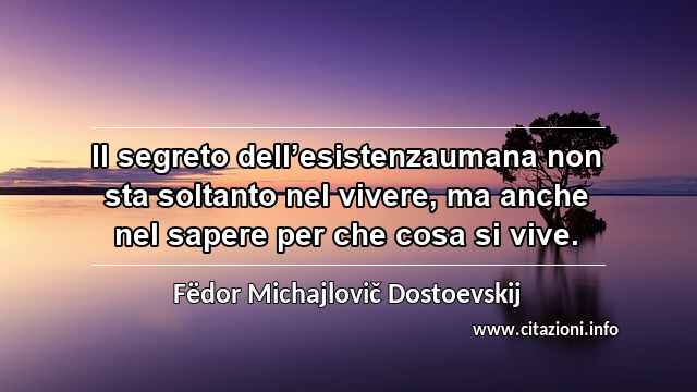 “Il segreto dell’esistenzaumana non sta soltanto nel vivere, ma anche nel sapere per che cosa si vive.”