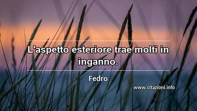 “L'aspetto esteriore trae molti in inganno.”