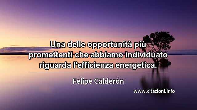 “Una delle opportunità più promettenti che abbiamo individuato riguarda l'efficienza energetica.”