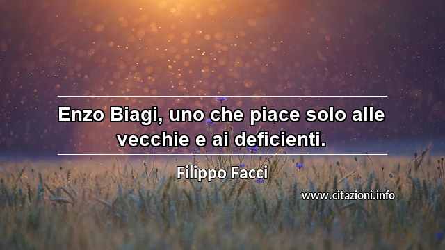 “Enzo Biagi, uno che piace solo alle vecchie e ai deficienti.”