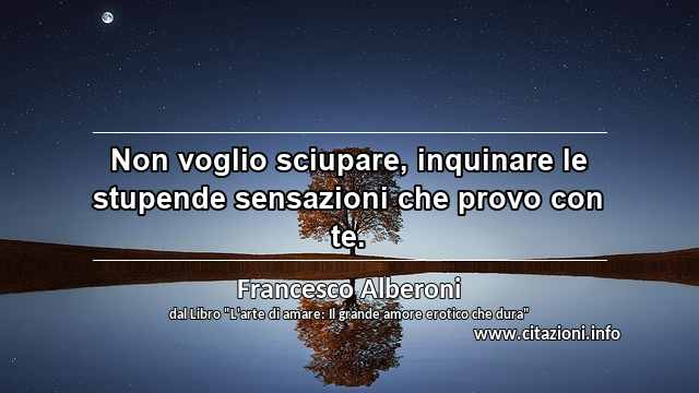 “Non voglio sciupare, inquinare le stupende sensazioni che provo con te.”