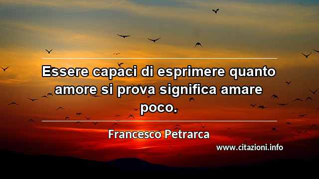 “Essere capaci di esprimere quanto amore si prova significa amare poco.”