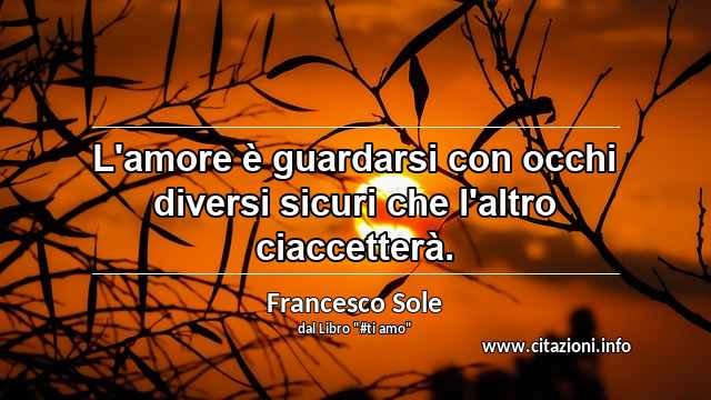 “L'amore è guardarsi con occhi diversi sicuri che l'altro ciaccetterà.”