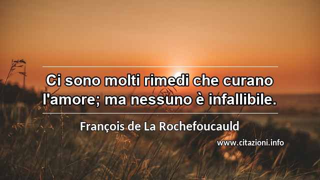 “Ci sono molti rimedi che curano l'amore; ma nessuno è infallibile.”