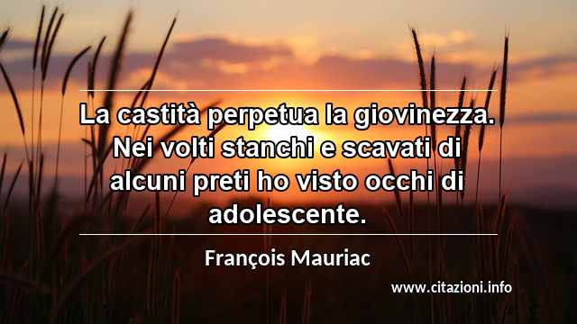 “La castità perpetua la giovinezza. Nei volti stanchi e scavati di alcuni preti ho visto occhi di adolescente.”