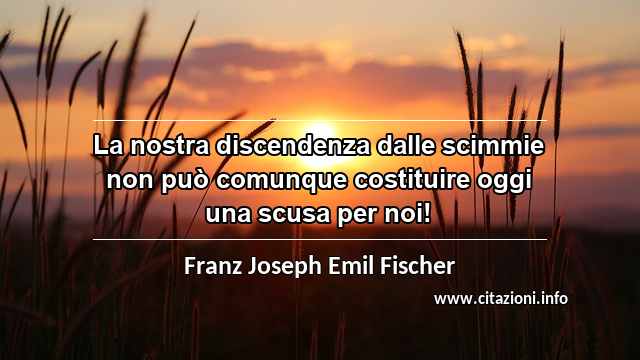 “La nostra discendenza dalle scimmie non può comunque costituire oggi una scusa per noi!”