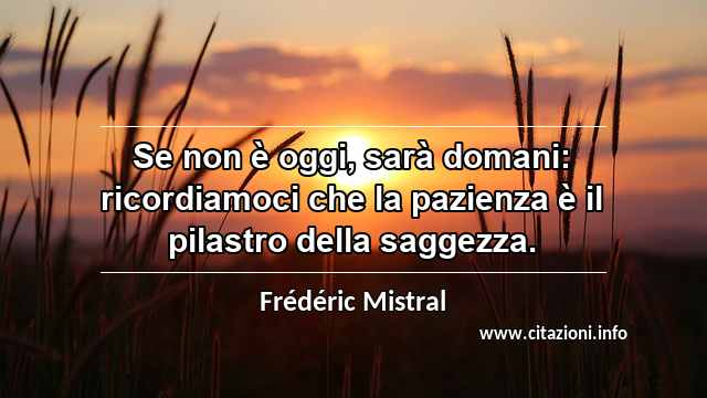 “Se non è oggi, sarà domani: ricordiamoci che la pazienza è il pilastro della saggezza.”