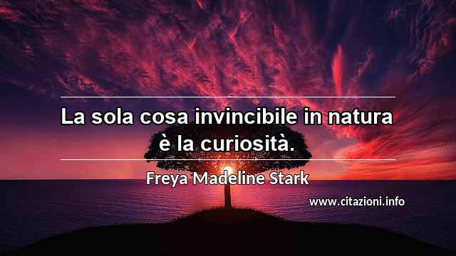 “La sola cosa invincibile in natura è la curiosità.”