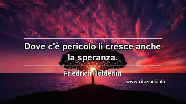 “Dove c'è pericolo lì cresce anche la speranza.”