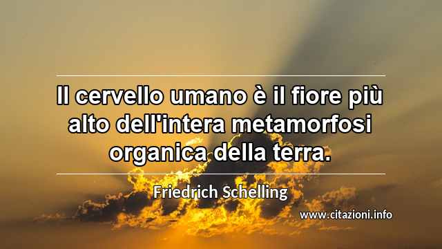 “Il cervello umano è il fiore più alto dell'intera metamorfosi organica della terra.”