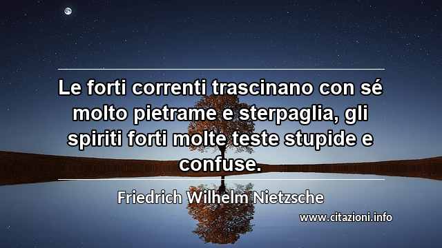 “Le forti correnti trascinano con sé molto pietrame e sterpaglia, gli spiriti forti molte teste stupide e confuse.”