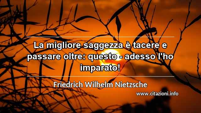 “La migliore saggezza è tacere e passare oltre: questo - adesso l'ho imparato!”