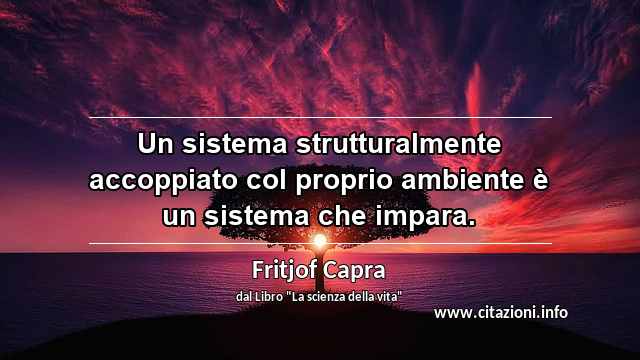 “Un sistema strutturalmente accoppiato col proprio ambiente è un sistema che impara.”